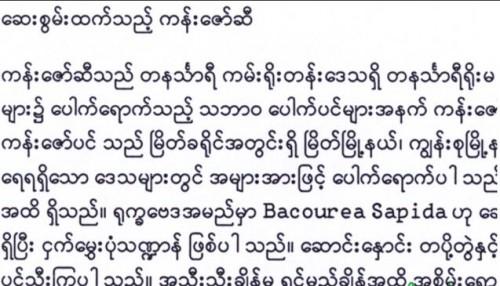 如何用ABBYY OCR识别技术在电脑上阅读缅甸语