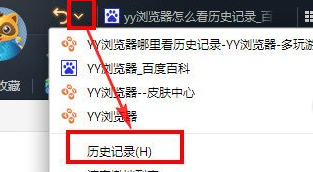 yy浏览器怎么删除历史记录
