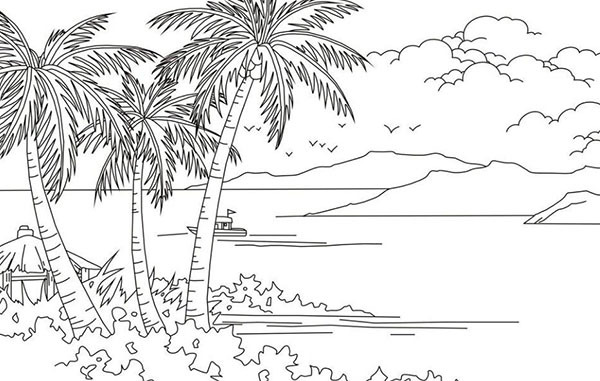椰子树简笔画的分析介绍 椰子树简笔画 儿童简笔画
