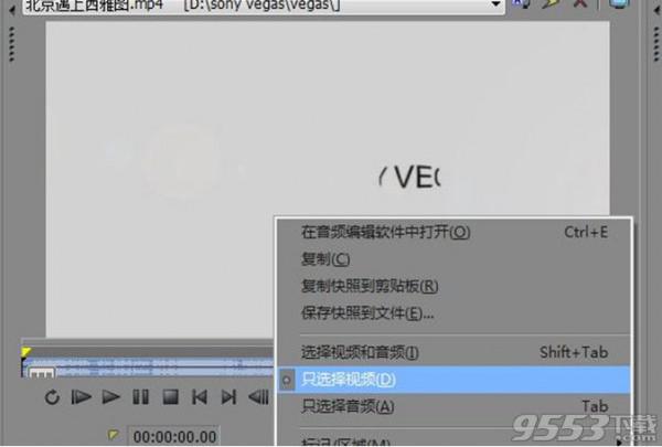 vegas怎么提取视频文件? vegas怎么导出视频格式