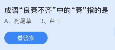 蚂蚁庄园11月24日答案最新：我们平常吃的胡萝卜是它的哪个部位？良莠不齐的莠指什么？