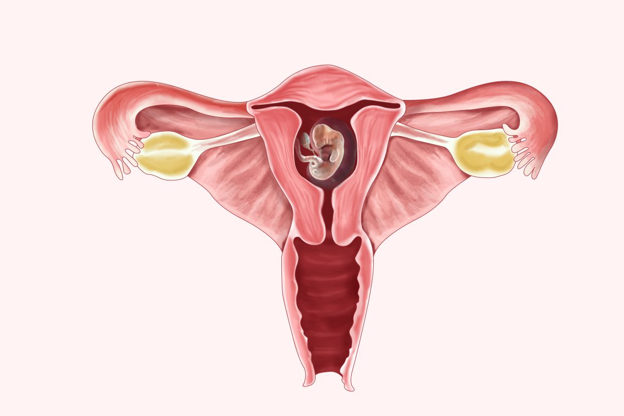 粉色孕囊图片（孕囊是粉色的吗）