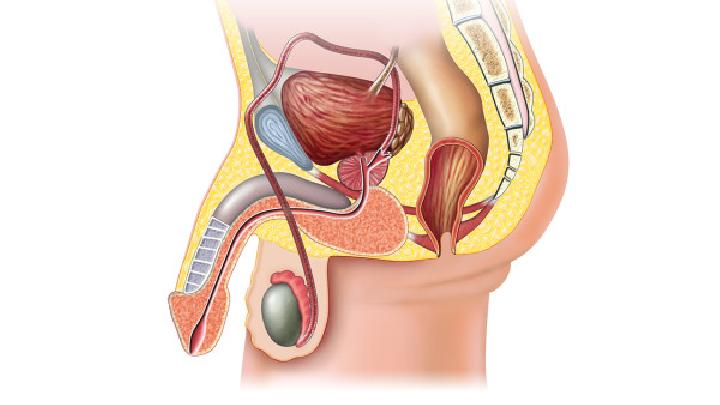 男性包茎的危害有哪些