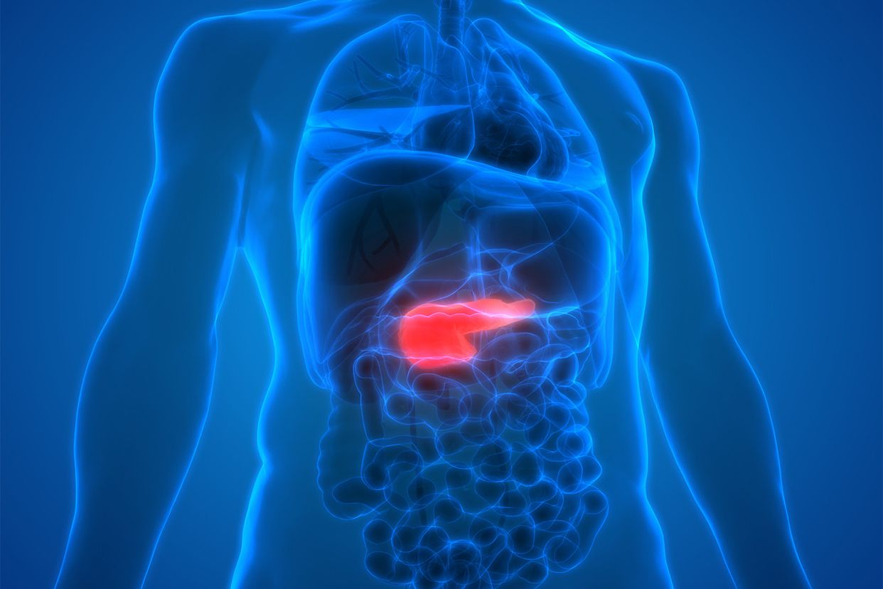 胰腺在腹中的位置图CT 胰腺在腹中的位置图