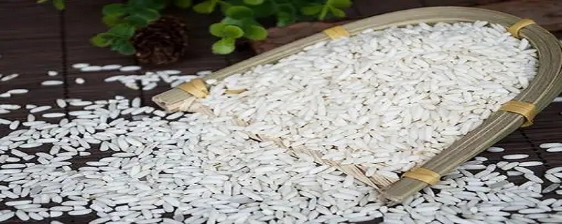 灿米和粳米有什么区别（籼米和粳米哪种有营养）