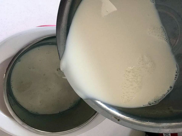 酸奶机做酸奶要多久 酸奶机做酸奶多久凝固