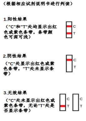 新冠抗原检测阳性是怎么回事 新冠抗原检测结果怎么看阳性阴性