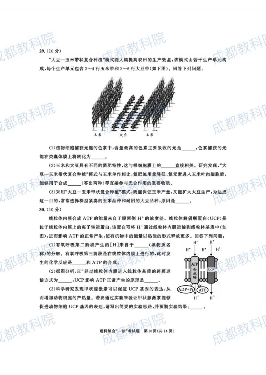 成都高三三诊答案 2023成都高三一诊试卷及答案