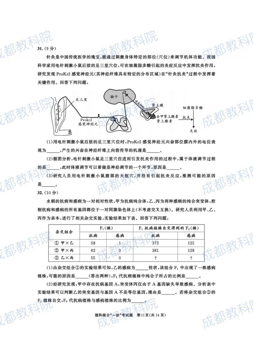 成都高三三诊答案 2023成都高三一诊试卷及答案