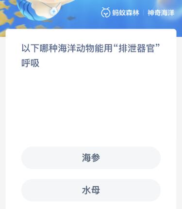 以下哪种海洋动物能用“排泄器官”呼吸？神奇海洋1月11日答案最新