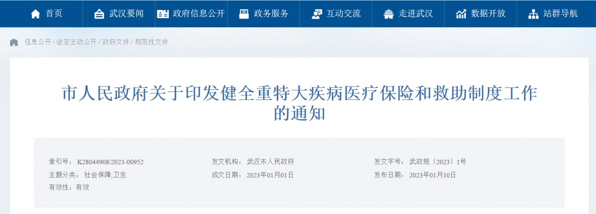 武汉重特大疾病医保政策文件是什么 武汉重特大疾病医保政策文件