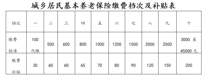 2023丰县城乡居民养老保险缴费指南 2020年丰城市社保缴费