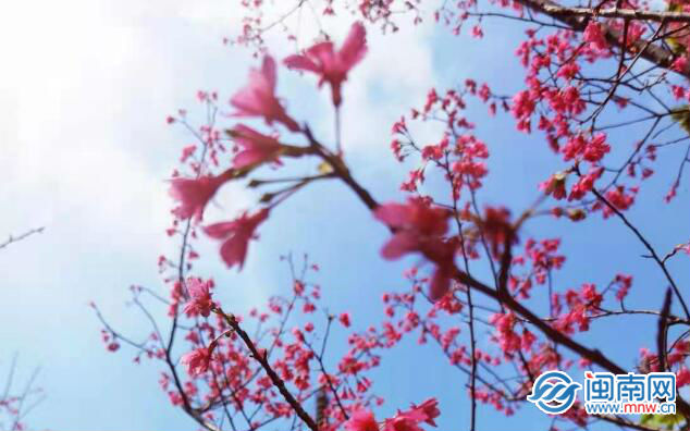 除夕朋友圈文案说说  除夕祝福语吉祥话短句恭贺语句子