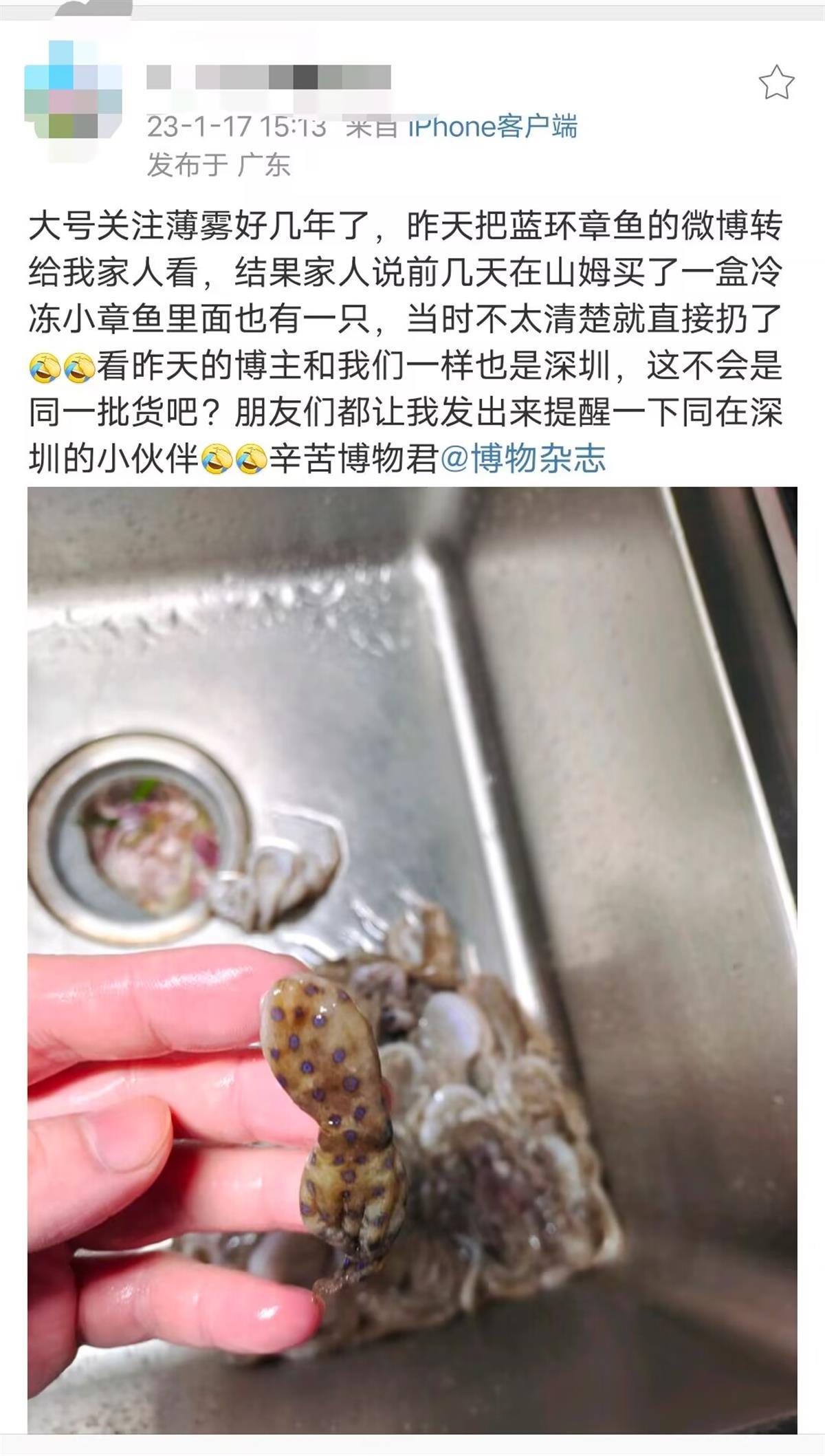 深圳市监局：对全市27家山姆和沃尔玛门店进行排查，未发现有“蓝环章鱼”
