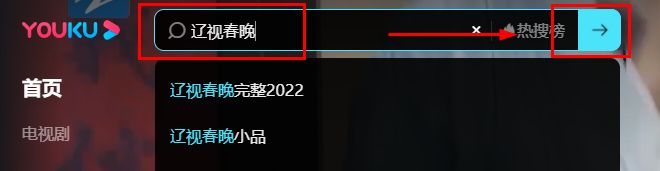 辽视春晚2021优酷 2023辽视春晚回放在优酷哪里看