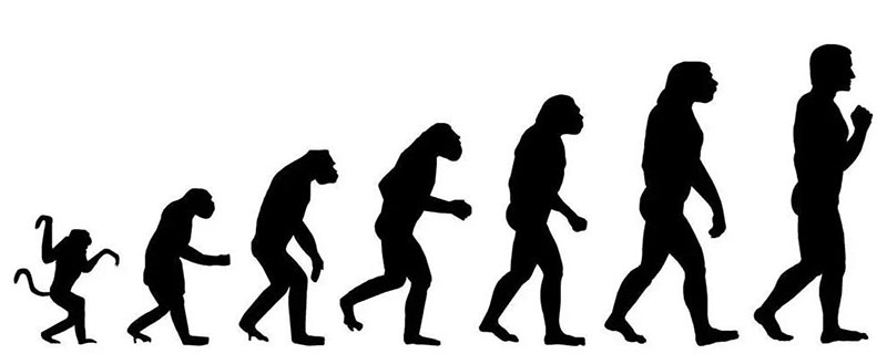 人类祖先的进化历程（人类祖先的进化历程视频）