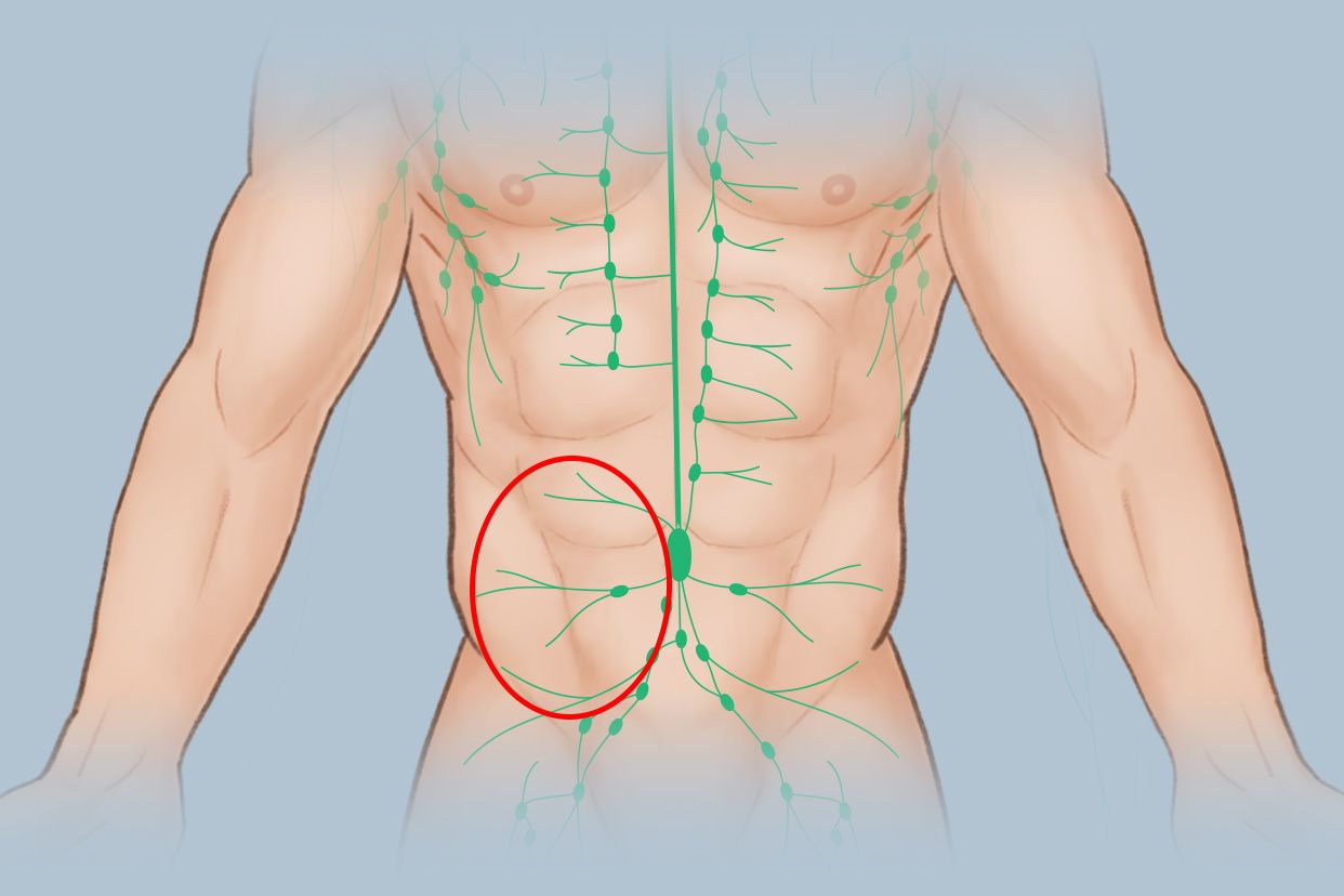 左腹部淋巴结位置图片（左下腹淋巴结图片位置）
