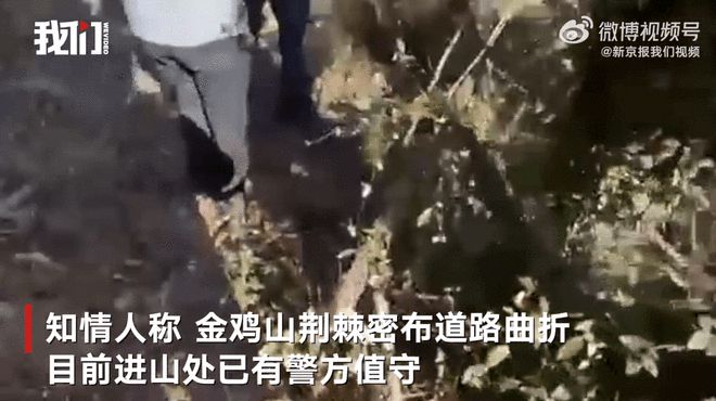 实探胡某宇遗体发现地金鸡山：山上荆棘密布紧挨其学校 进山处有警方值守