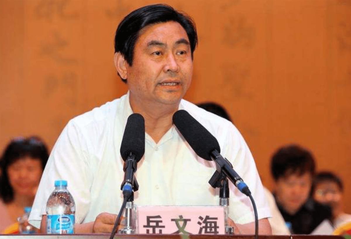 河南周口原市长辞去公职10年后被查，曾被称为“平坟市长”