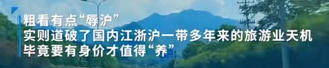 热搜第一！“养猪不如养上海人”？涉事教授回应