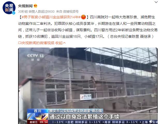 男子贩卖小熊猫川金丝猴获刑14年