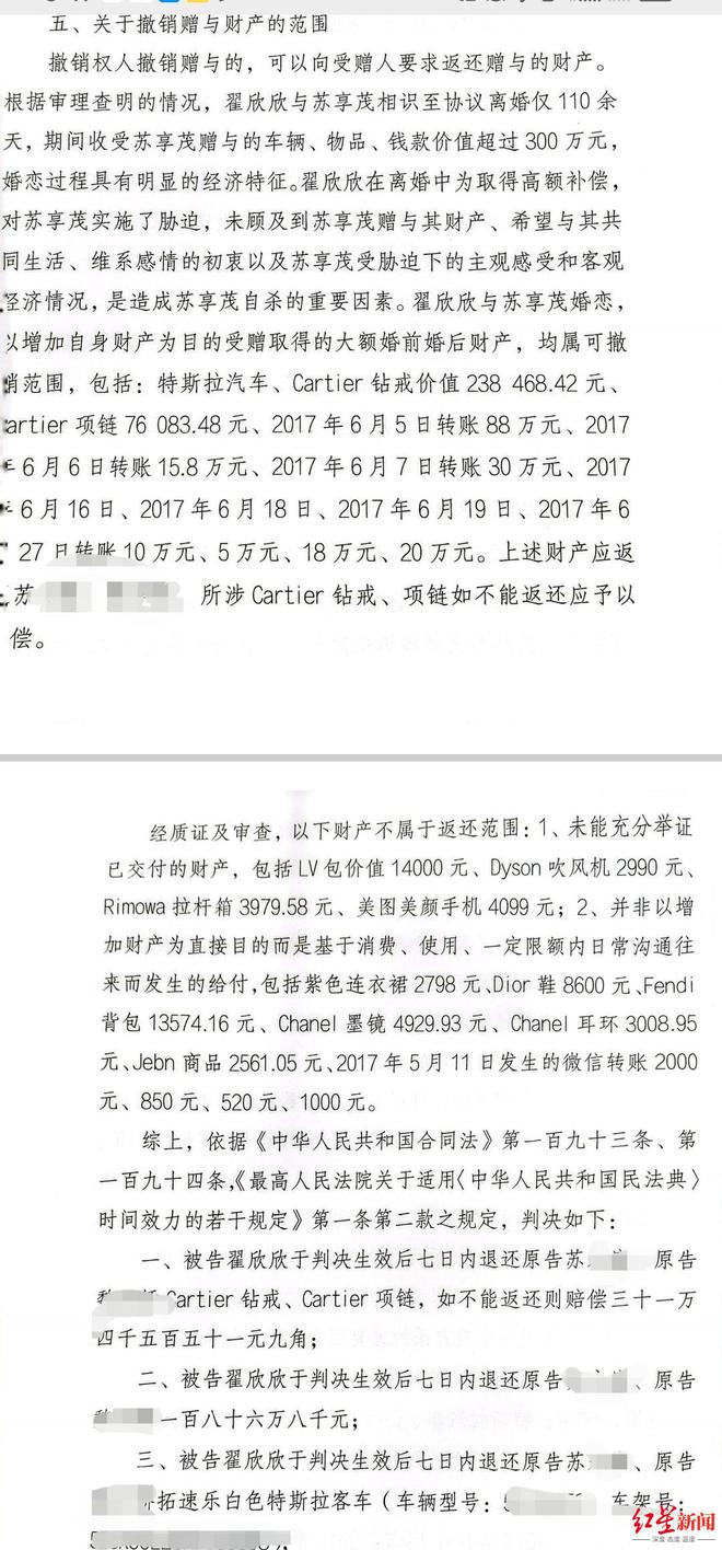 翟欣欣案一审宣判  