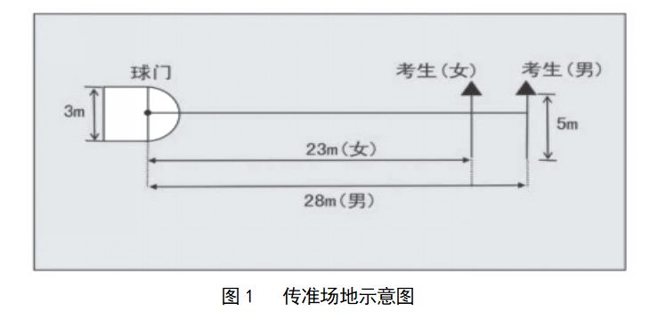 温州苍南县2023年普通高中各项特长生测试内容及评分标准