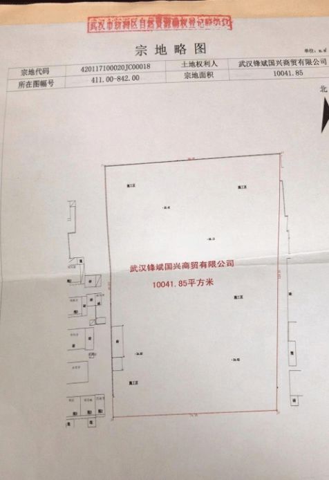 拍得政府土地却被告知无使用权，湖北一投资人被拖至几近破产