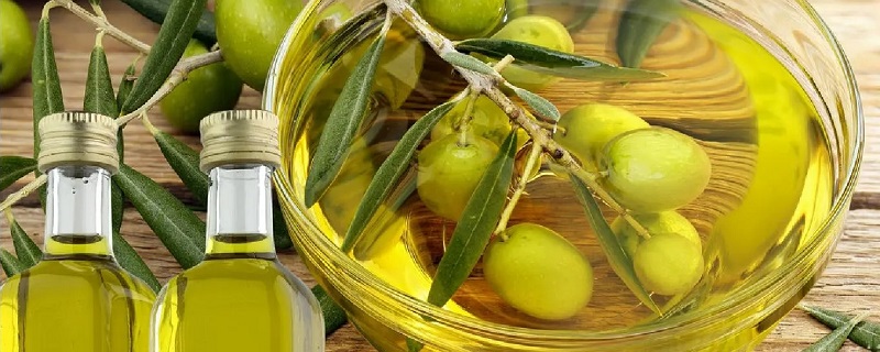 橄榄油低温状态下会凝固吗