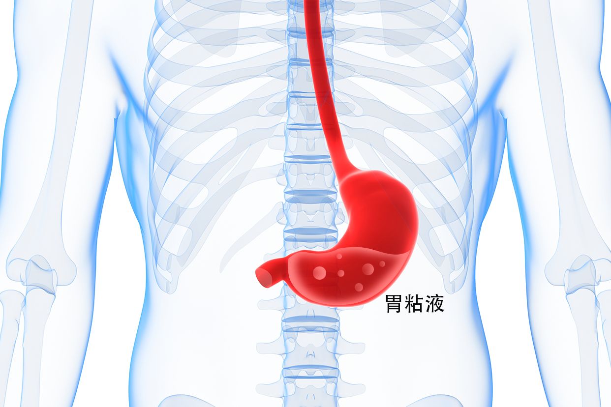 胃粘液图片 胃粘液主要成分