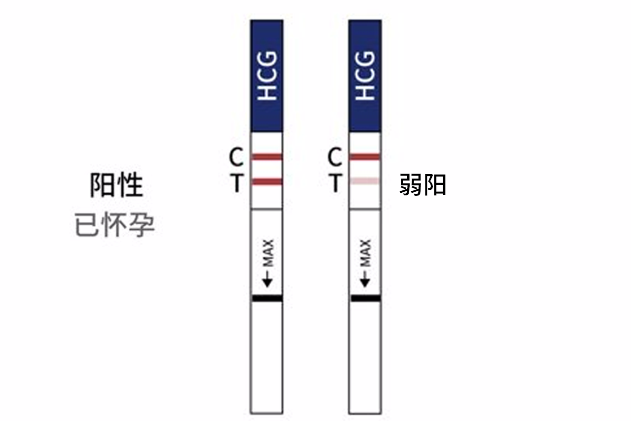 移植后试纸加深图 囊胚移植后试纸加深图