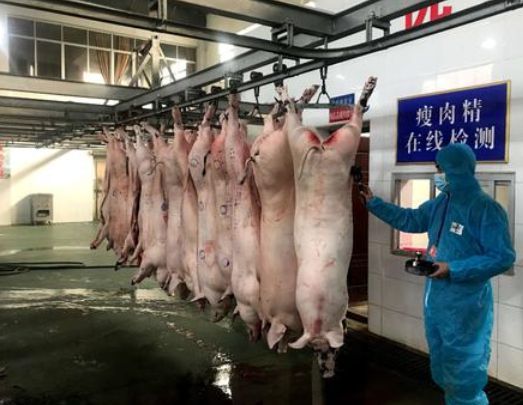 农民杀两头猪卖被罚款4万拒交罚款被告上法庭农民:还让我活吗？