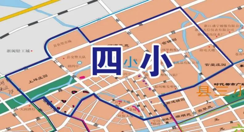 2023温州苍南县各小学学区划分范围一览(超全汇总）