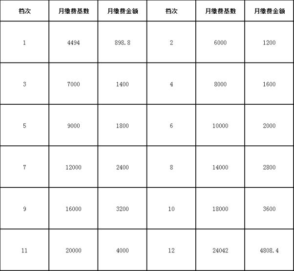 沛县灵活就业人员养老保险缴费标准是多少?