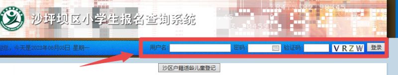 2023重庆沙坪坝小学报名结果怎么查询 2023重庆沙坪坝小学报名结果怎么查询呢