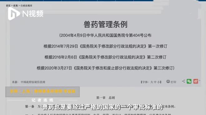 上海女高材生制售猫药治绝症被刑拘，曾被称为上海猫版“药神"