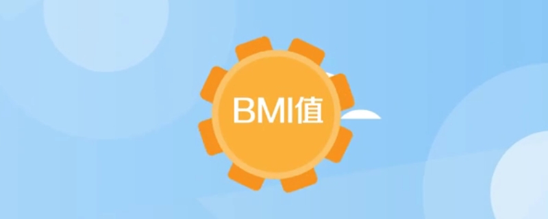 bmi20是什么水准