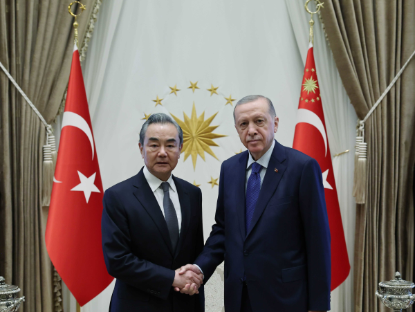 土耳其总统埃尔多安会见王毅