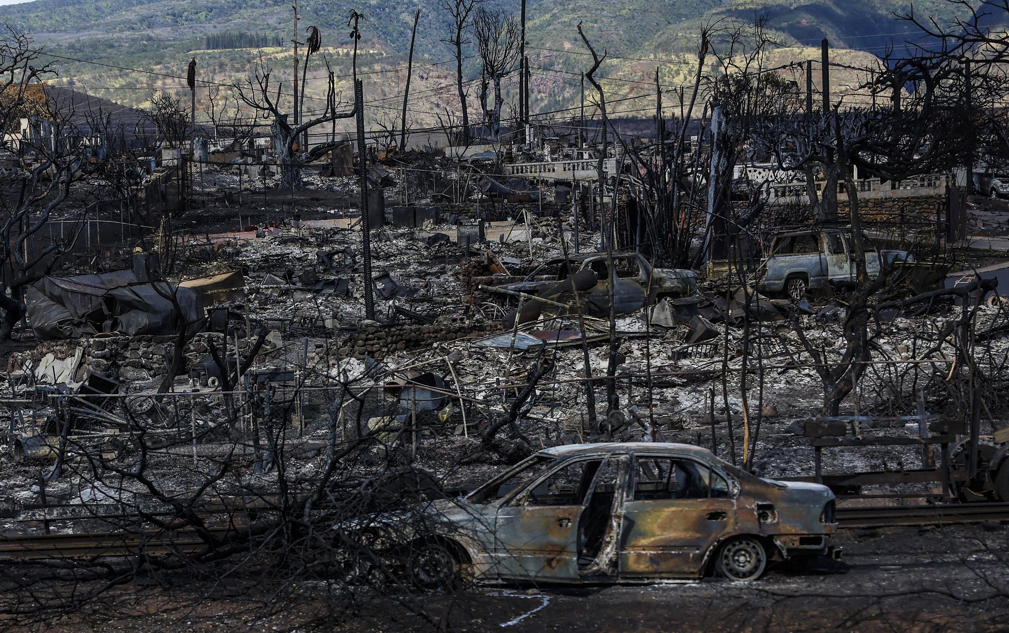 已死亡114人，夏威夷“最致命”野火是怎么酿成的？