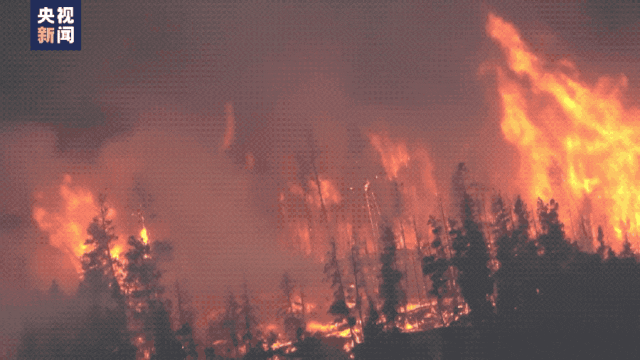 十多万人逃离家园！1000多起火灾同时发生，加拿大林火累计过火面积超韩国国土面积