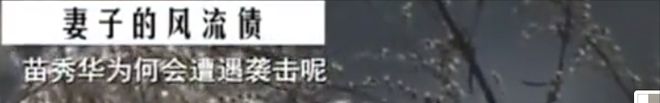 妻子借给情夫20万，天天陪情夫睡觉，2014年丈夫怒杀奸夫淫妇