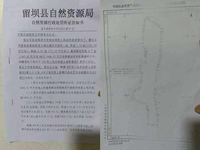 陕西留坝县回应“群众反映社区土地被侵占”：成立调查组，深入调查核实