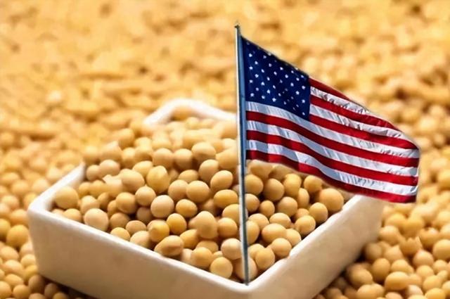 ＂中国单日采购美国大豆创三个月新高，美农松一口气＂