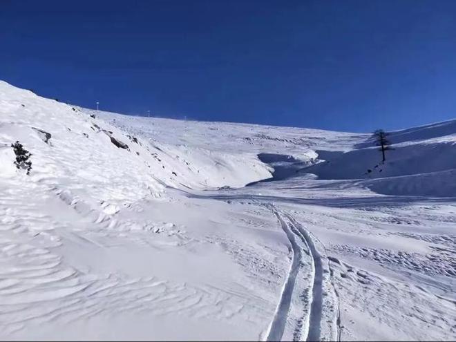 知名滑雪女教练在滑雪场不幸身亡 她是国内唯一三级（满级）女滑雪指导员