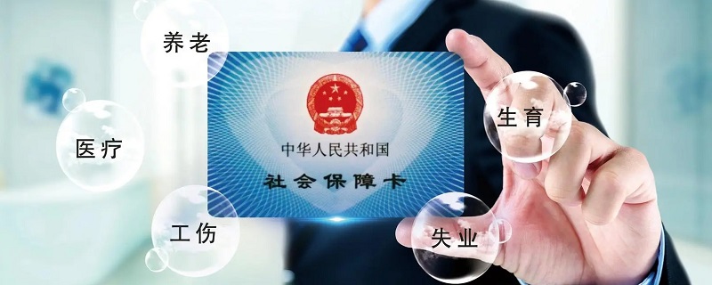 怎么查询社保缴费基数（怎么查询社保缴费基数申报情况）