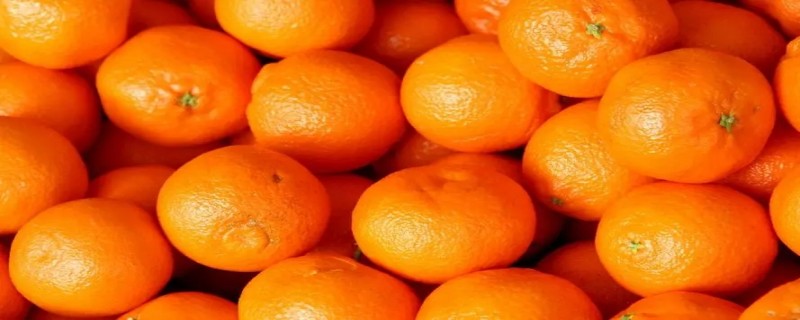 桔子和橘子一样吗 橘和桔是一种水果吗