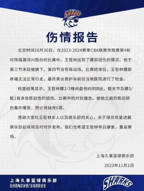 王哲林预计因腰伤缺席6周