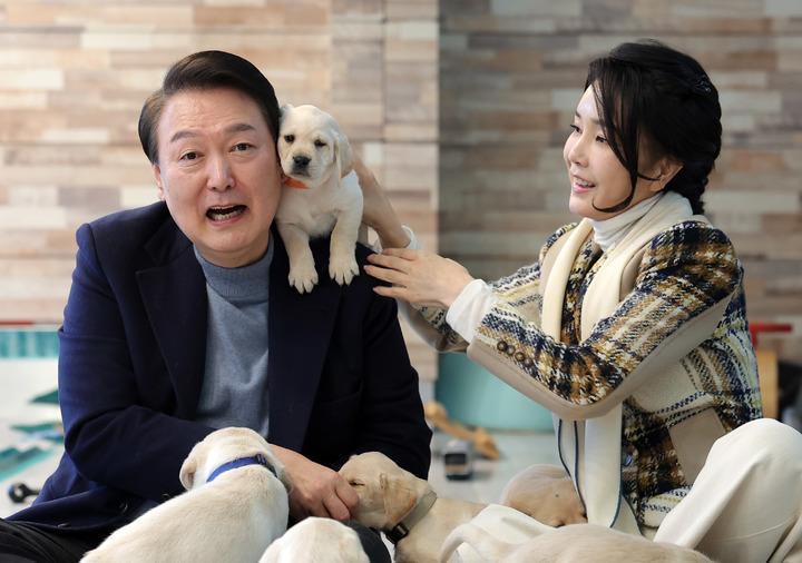 韩国总统夫妇：结婚11年无子女，领养了5只猫6条狗，原因令人心酸