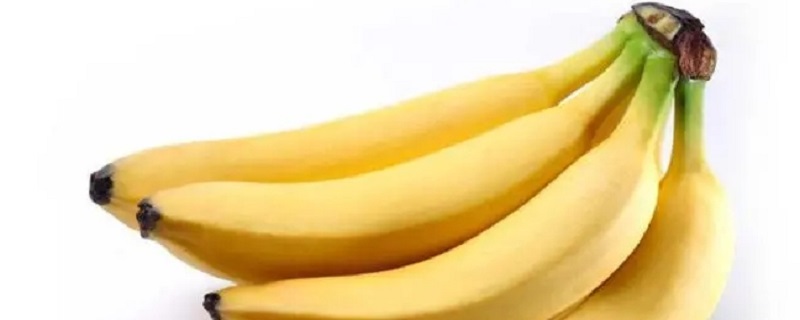 现在吃的黄色香蕉是怎么来的（现在吃的黄色香蕉是怎么得来的）