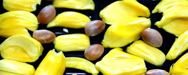 菠萝蜜的核能吃不能吃 菠萝蜜的核能吃吗有什么功效和禁忌